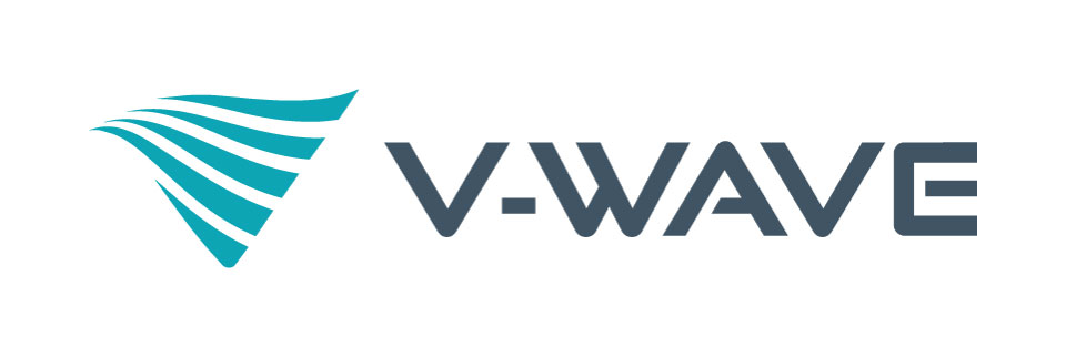 V Wave Ltd.